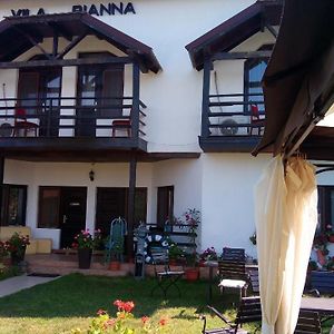 Vila Rianna Hotel Dunavăţu de Jos Exterior photo