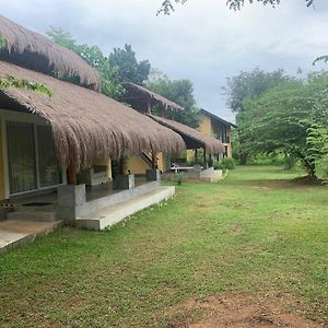 Web Of Life Resort Wasgamuwa Talakolawela Exterior photo