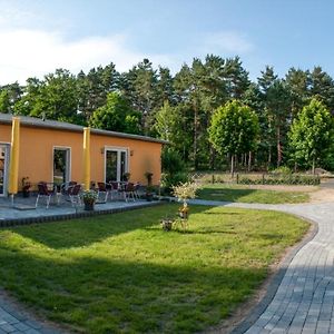 Pension Traumfanger Friedland  Exterior photo