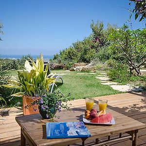 Above The Sea Bed and Breakfast Ein Hod Exterior photo