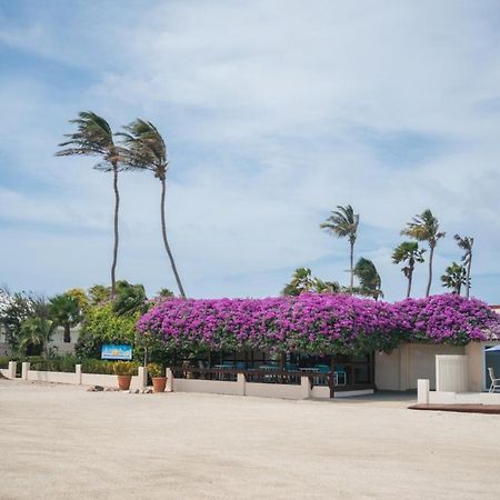 Aruba Beach Villas Palm Beach Eksteriør billede