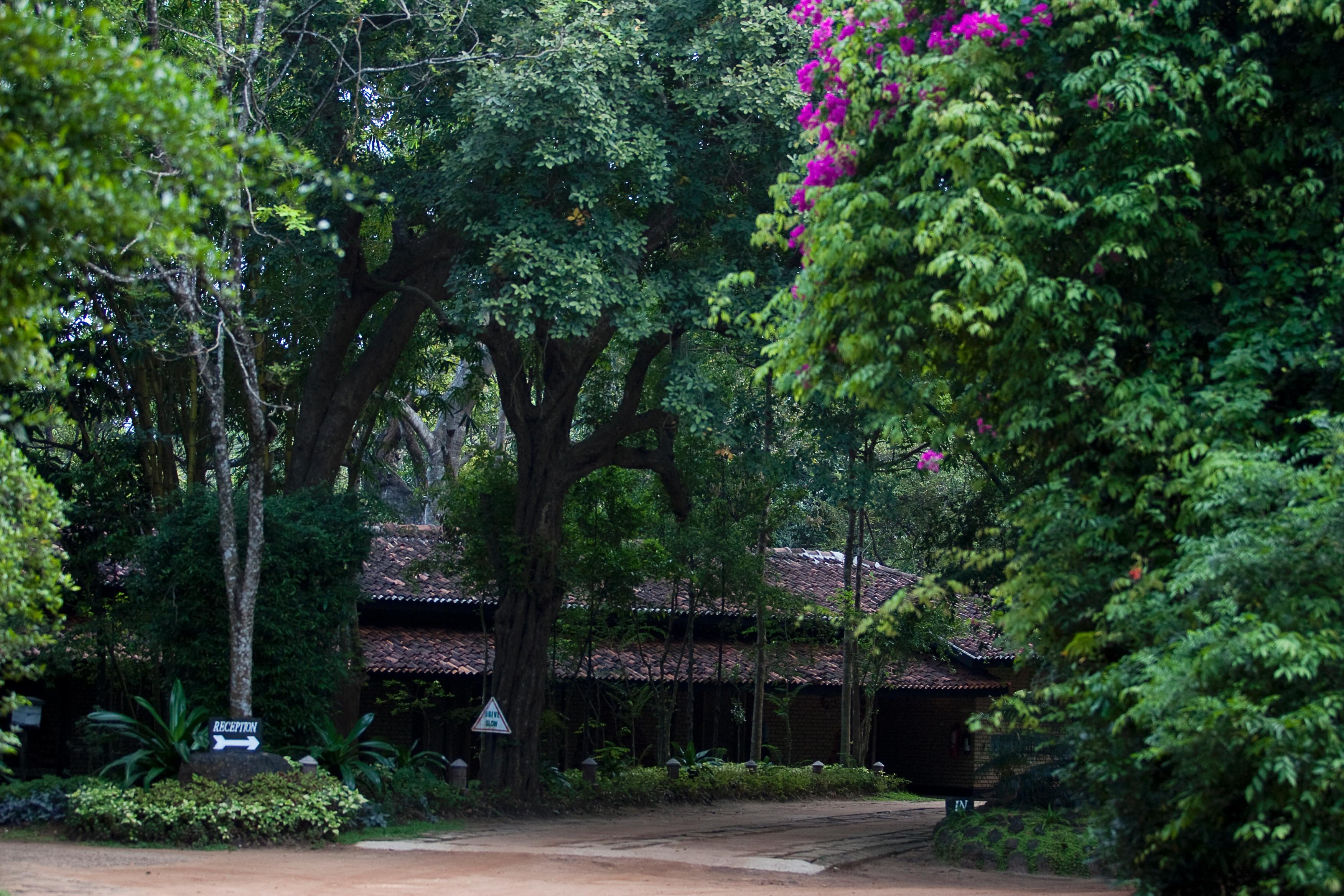 Hotel Sigiriya Eksteriør billede