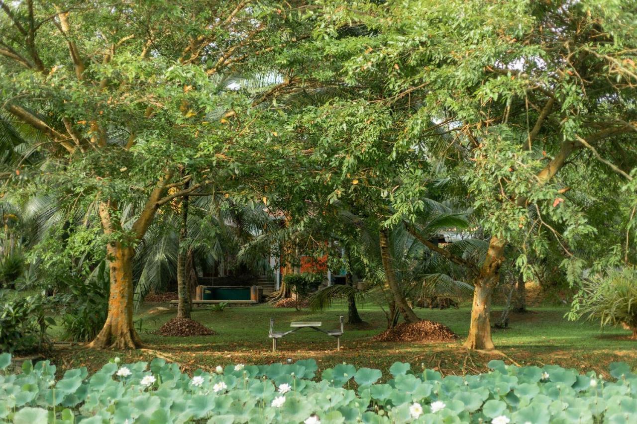 Villa Acres Green Hikkaduwa Eksteriør billede