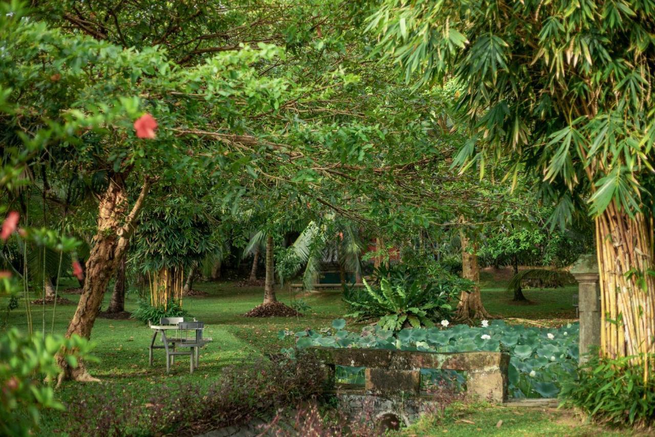 Villa Acres Green Hikkaduwa Eksteriør billede
