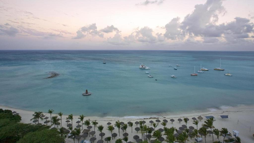 The Westin Aruba Resort (Adults Only) Palm Beach Faciliteter billede