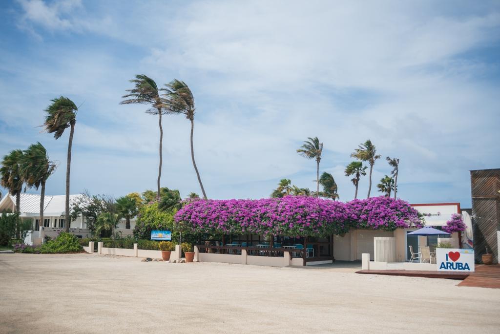 Aruba Beach Villas Palm Beach Eksteriør billede