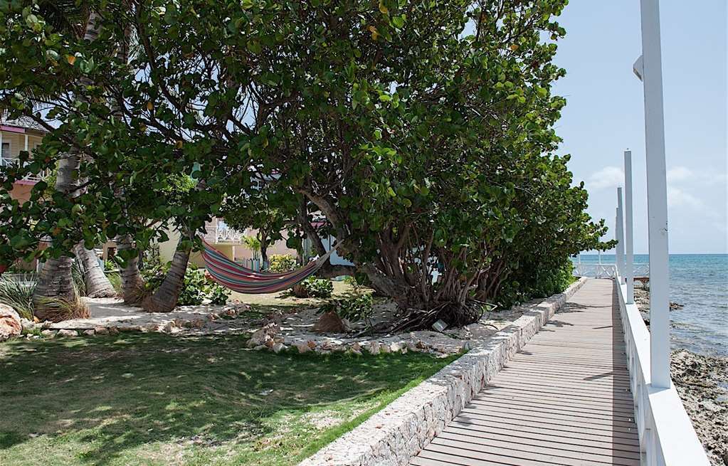 Arawak Beach Inn Island Harbour Faciliteter billede