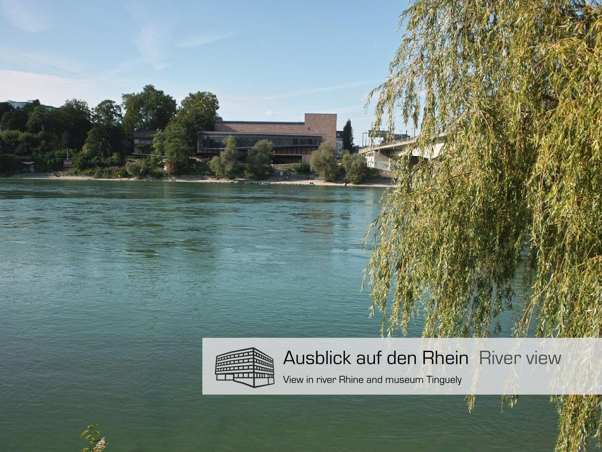 Dasbreitehotel Am Rhein Basel Eksteriør billede