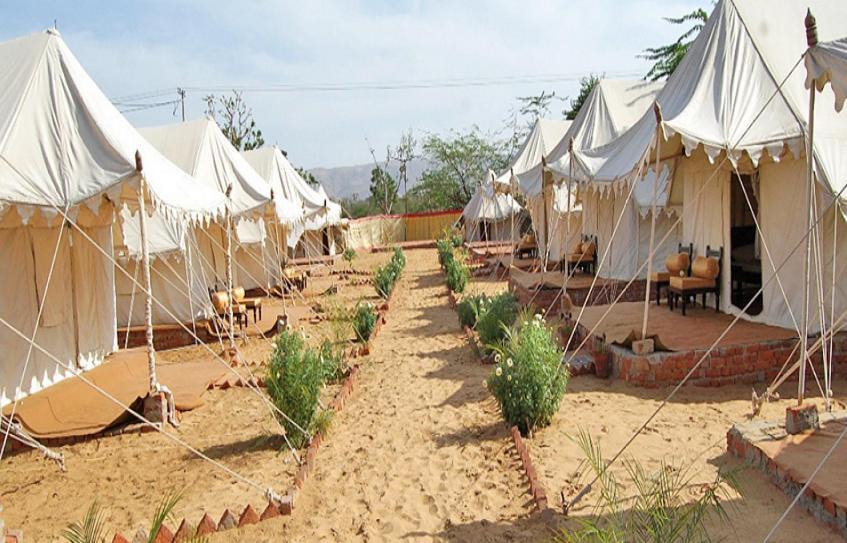 Royal Rajasthan Camp Pushkar Eksteriør billede