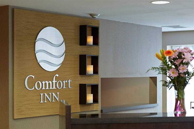 Comfort Inn West Edmonton Eksteriør billede