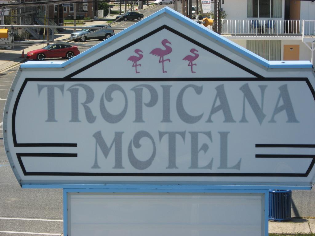 Tropicana Motel Wildwood Eksteriør billede