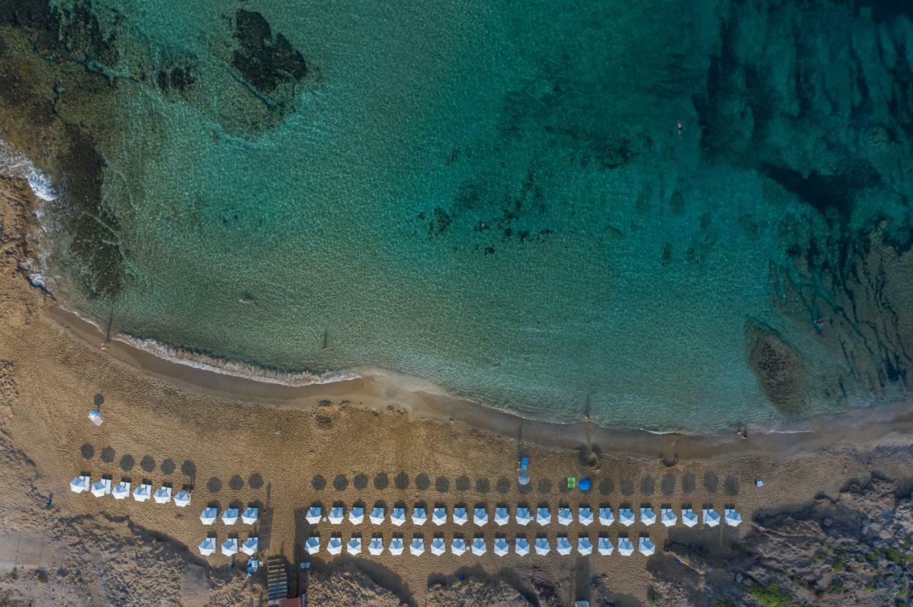 Venus Beach Hotel Paphos Eksteriør billede