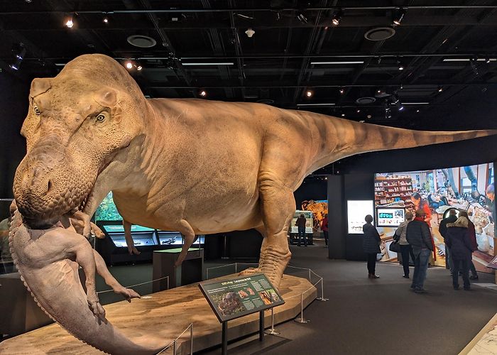 Denver Museum of Nature and Science photo