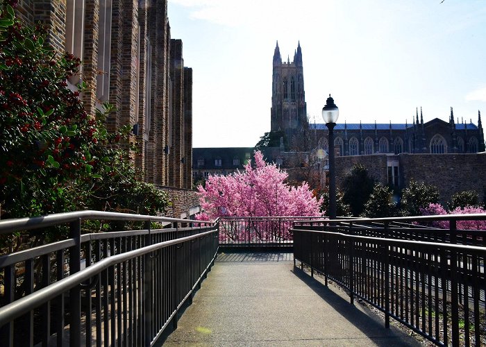 Duke University Chapel photo