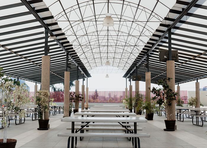 Guadalajara Lamar University photo