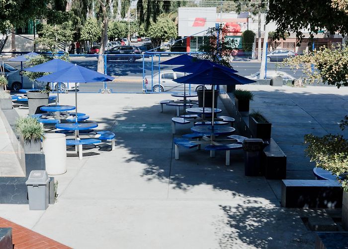 Guadalajara Lamar University photo