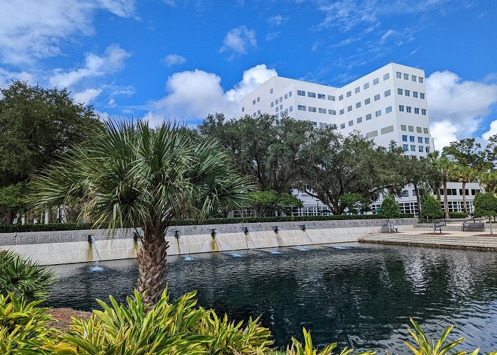 Mayo Clinic Florida photo