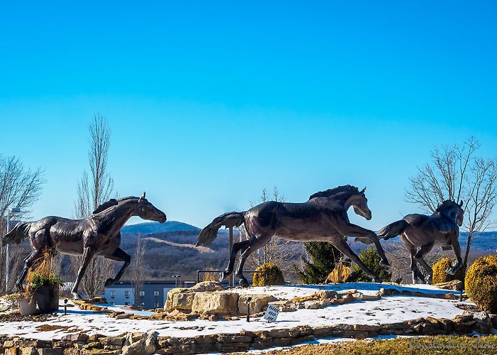 The Mansion Theatre For The Performing Arts photo