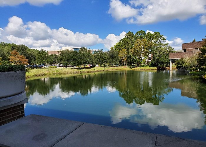 University of North Florida photo