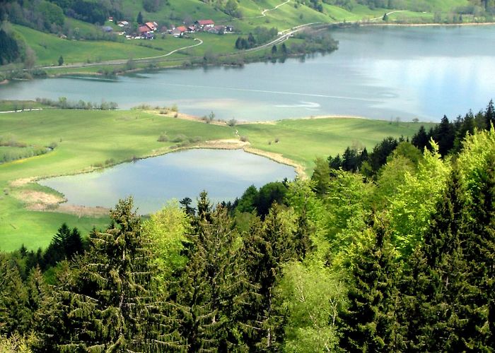 Alpsee-Bergwelt Visit Ratholz: 2024 Travel Guide for Ratholz, Immenstadt im ... photo