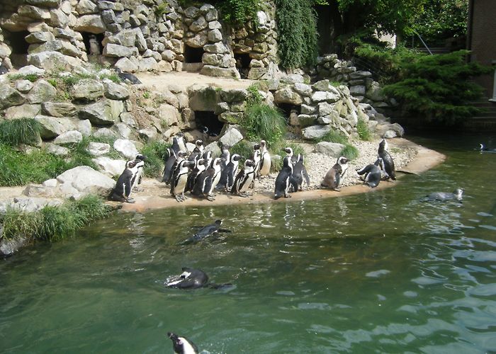 Burgers' Zoo Burgers Zoo , Arnhem , Netherlands – photo