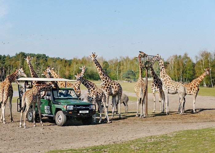 Beekse Bergen Beekse Bergen | Discover our nature photo