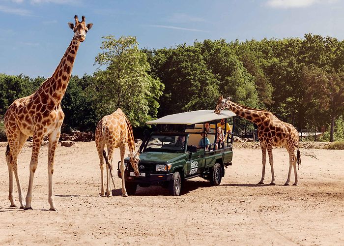 Beekse Bergen Beekse Bergen | Discover our nature photo