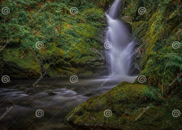Dolgoch Falls Abergynolwyn Stock Photos - Free & Royalty-Free Stock Photos from ... photo