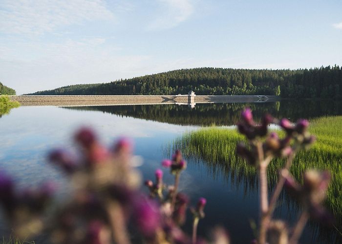 Saidenbach lake Naturlehrpfad Geigenbachtalsperre Poppengrün - BERGFEX - Thematic ... photo