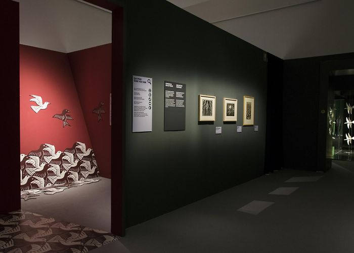 Palazzo delle Arti di Napoli Escher exhibition at PAN Palazzo delle Arti di Napoli | Floornature photo