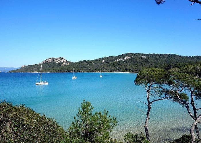 Ile de Porquerolles l'île de Porquerolles - Hyères - Parc national photo
