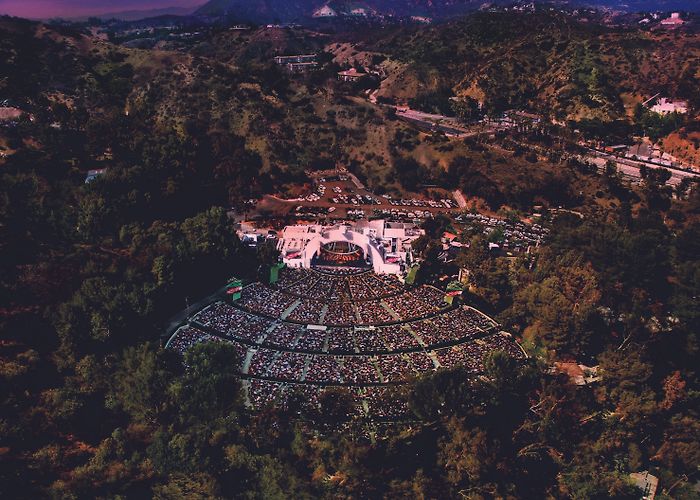 Hollywood Bowl Harry Potter in Concert | Things to do in Los Angeles photo