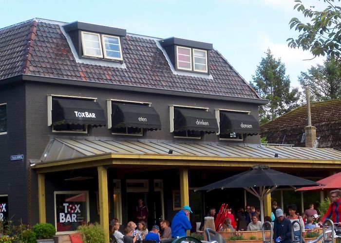 Seashell museum Visit Schiermonnikoog: 2024 Travel Guide for Schiermonnikoog ... photo