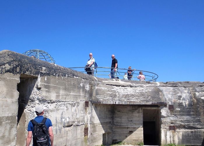 Seashell museum Visit Schiermonnikoog: 2024 Travel Guide for Schiermonnikoog ... photo