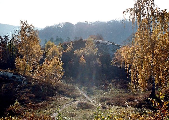 Kyffhäuser monument Visit Südharz: 2024 Travel Guide for Südharz, Saxony-Anhalt | Expedia photo