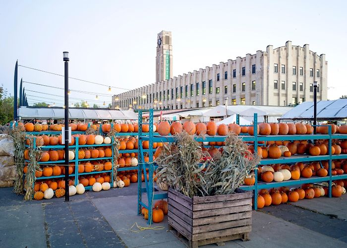 Atwater Market Discover Montreal's Historic Food Markets photo