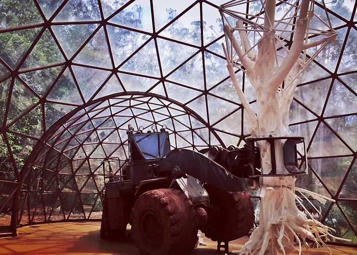 Inhotim Cultural Centre Visit Brumadinho: 2024 Travel Guide for Brumadinho, Minas Gerais ... photo