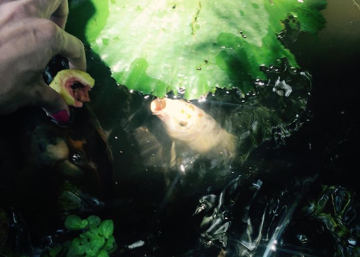 Inhotim Cultural Centre Visit Brumadinho: 2024 Travel Guide for Brumadinho, Minas Gerais ... photo