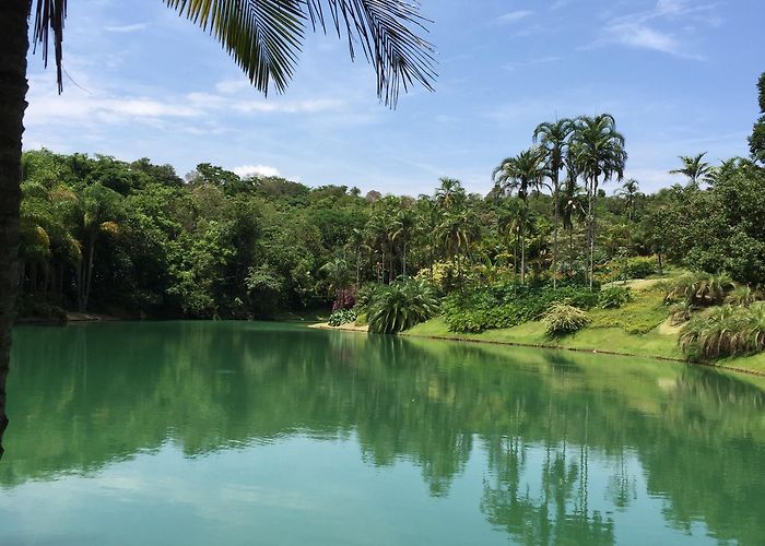 Inhotim Cultural Centre Visit Brumadinho: 2024 Travel Guide for Brumadinho, Minas Gerais ... photo