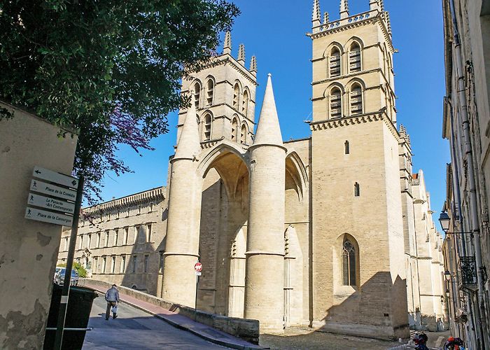 Saint-Pierre Cathedral SAINT-PIERRE CATHEDRAL (Montpellier) | Montpellier Tourism photo