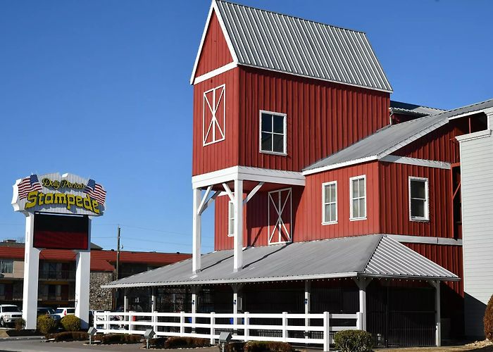 Dixie Stampede All the Details About Our Favorite Dinner Shows in Pigeon Forge photo