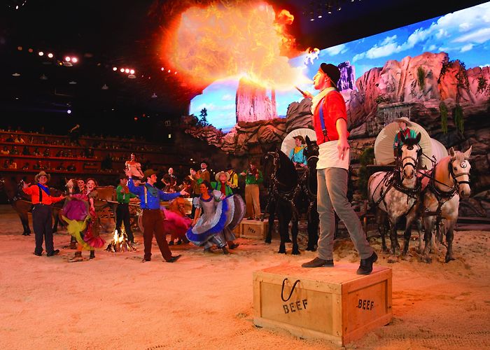 Dixie Stampede Dolly Parton's Stampede in Pigeon Forge, TN photo