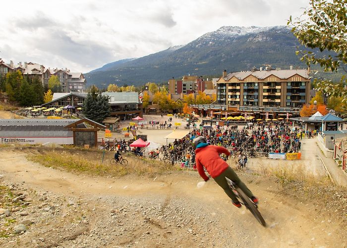 Whistler Mountain Bike Park Whistler Mountain Bike Park Tours - Book Now | Expedia photo
