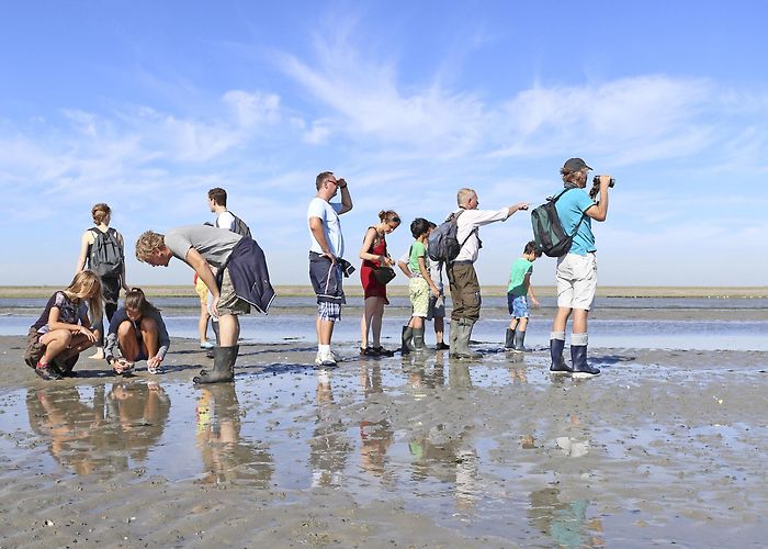 De Schorren Natuurmonumenten - VVV Texel photo