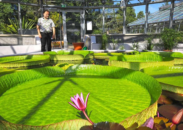 Botanischer Garten Gießen: Botanischer Garten öffnet - „Vollkommen neues Erlebnis“ photo