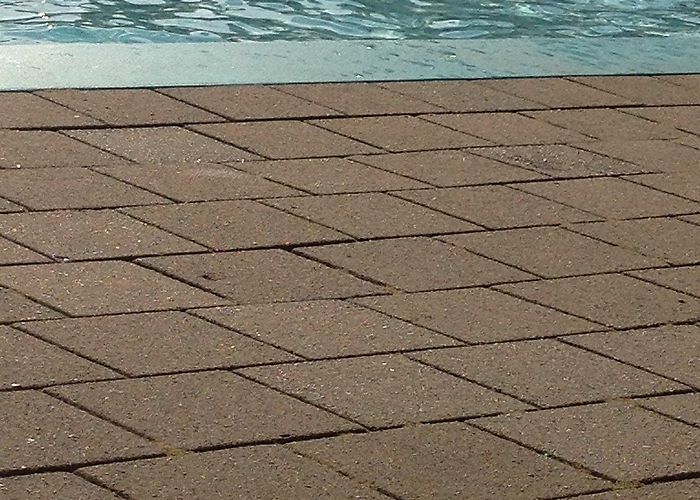 Natuurdiorama Holterberg De Looermark - All You Need to Know BEFORE You Go (2024) photo