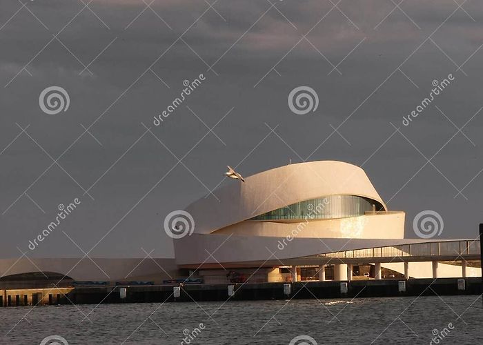 Florbela Espanca Municipal Library 589 City Matosinhos Stock Photos - Free & Royalty-Free Stock ... photo