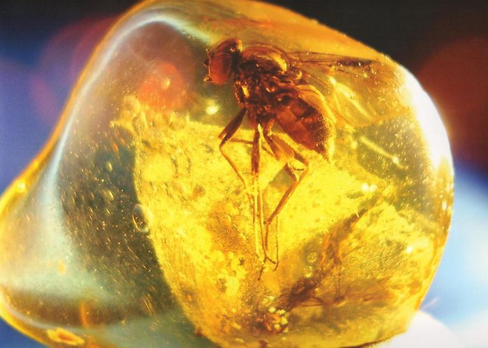 Amethyst Welt Maissau Top 11 LAC 82 + 83 – Maissau Amethyst World | Viennaweekends photo