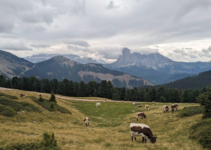 St. Ulrich-Raschotz An unplanned hike on a misty day up in Resciesa – The Delightful ... photo