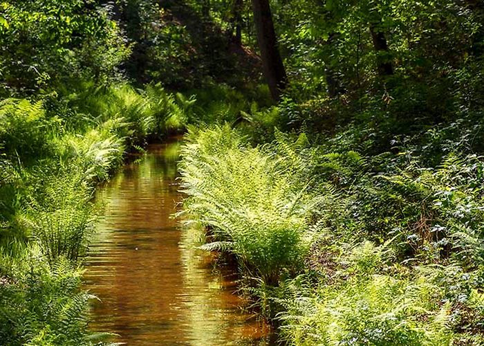 Nieuw Soerel Veluwe in the Netherlands: The Best Things to See and Do photo